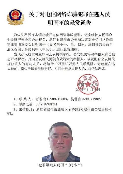 江浙老板爆料缅北视频播放,揭秘缅北背后的黑暗面  第3张